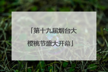第十九届烟台大樱桃节盛大开幕